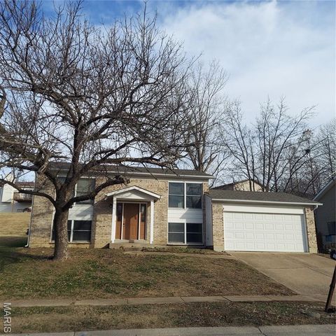 Photo of 12121 Glenpark Drive, Maryland Heights, MO 63043 (MLS # 25081595)