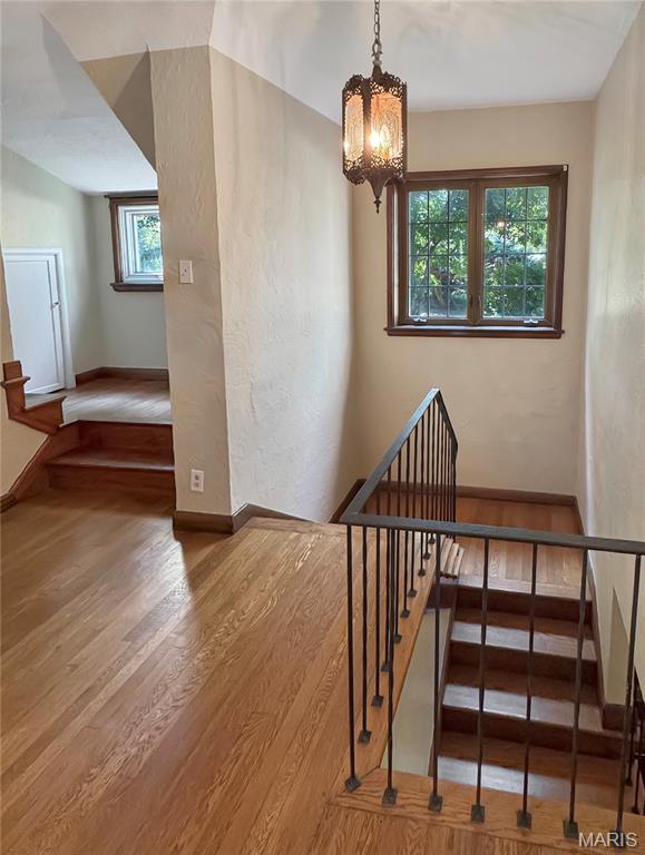 Lucinda Owens Estates - Residential