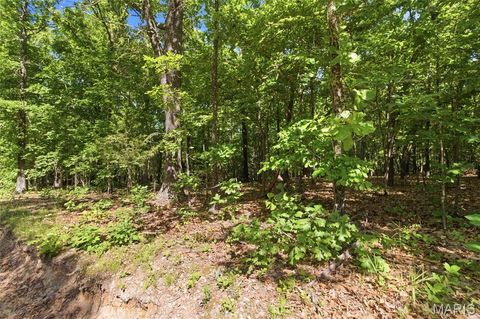 Tiny photo for 210 County Road 320, Alton, MO 65606 (MLS # 26030426)