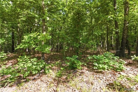 Tiny photo for 210 County Road 320, Alton, MO 65606 (MLS # 26030426)