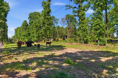Tiny photo for 210 County Road 320, Alton, MO 65606 (MLS # 26030426)