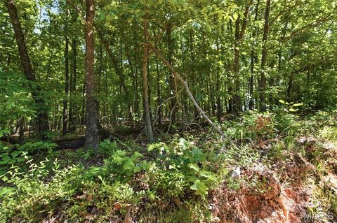 Tiny photo for 210 County Road 320, Alton, MO 65606 (MLS # 26030426)