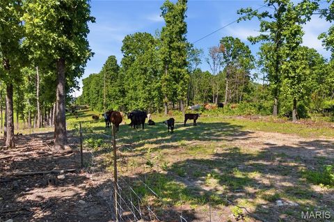 Tiny photo for 210 County Road 320, Alton, MO 65606 (MLS # 26030426)
