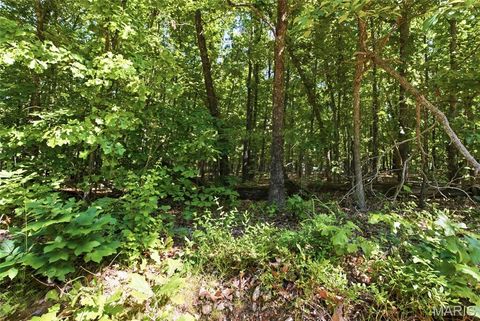 Tiny photo for 210 County Road 320, Alton, MO 65606 (MLS # 26030426)