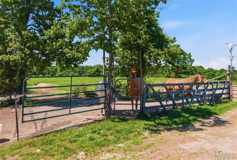 Tiny photo for 210 County Road 320, Alton, MO 65606 (MLS # 26030426)