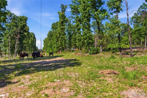 Tiny photo for 210 County Road 320, Alton, MO 65606 (MLS # 26030426)