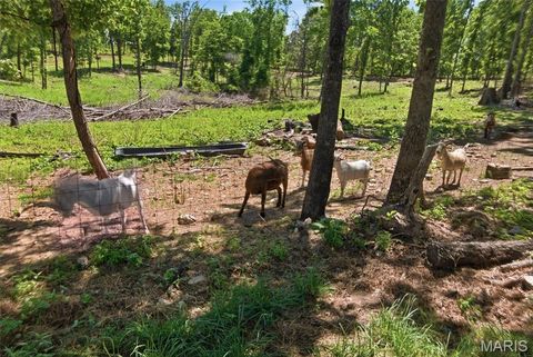 Tiny photo for 210 County Road 320, Alton, MO 65606 (MLS # 26030426)