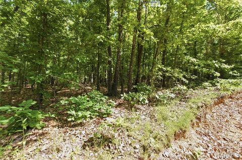 Tiny photo for 210 County Road 320, Alton, MO 65606 (MLS # 26030426)