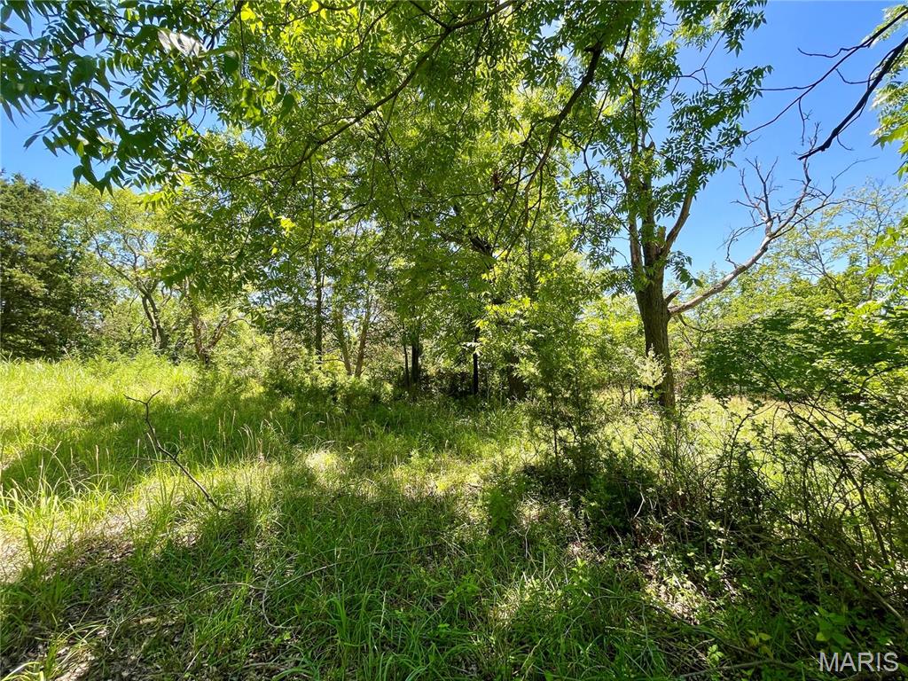 2558 Frederitzi Lane