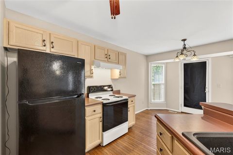 Tiny photo for 763 Shadow Pine Drive, Fenton, MO 63026 (MLS # 26030630)