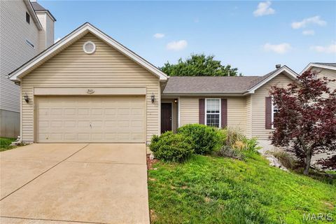 Photo of 763 Shadow Pine Drive, Fenton, MO 63026 (MLS # 26030630)