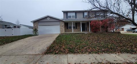 Photo of 915 Hunter Chaise Drive, Wentzville, MO 63385 (MLS # 25080512)