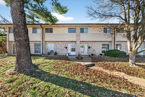 10032 Sakura Drive St Louis MO 63128