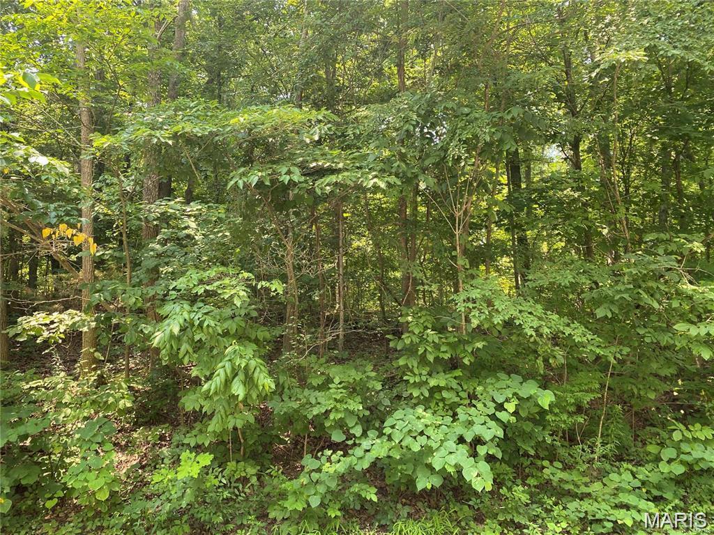 Raintree Plantation Sec 20 - Land