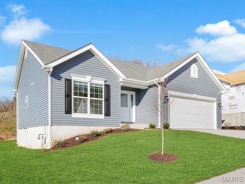 3045 Yellow Birch Court Imperial MO 63052