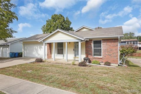Photo of 11833 McKelvey Gardens Drive, Maryland Heights, MO 63043 (MLS # 25068418)