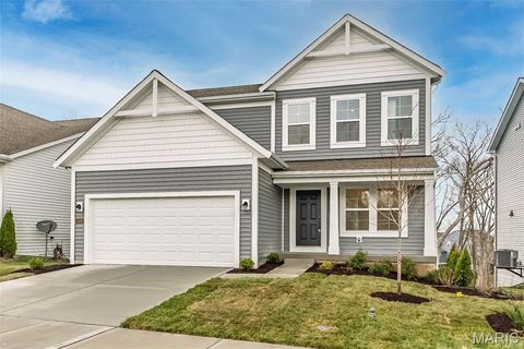 3339 Vine Clad Hill Drive Arnold MO 63010