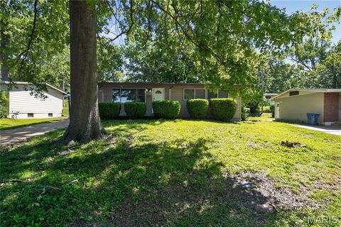 Photo of 10236 Tanner Drive, St Louis, MO 63136 (MLS # 26027391)