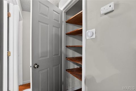 Tiny photo for 10236 Tanner Drive, St Louis, MO 63136 (MLS # 26027391)