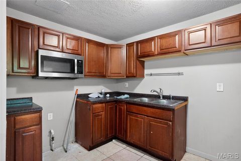 Tiny photo for 10236 Tanner Drive, St Louis, MO 63136 (MLS # 26027391)