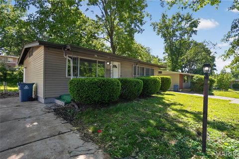 Tiny photo for 10236 Tanner Drive, St Louis, MO 63136 (MLS # 26027391)