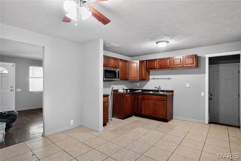 Tiny photo for 10236 Tanner Drive, St Louis, MO 63136 (MLS # 26027391)
