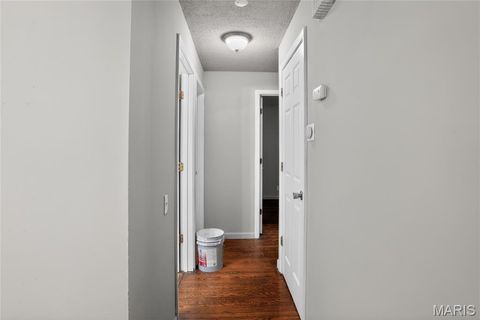 Tiny photo for 10236 Tanner Drive, St Louis, MO 63136 (MLS # 26027391)