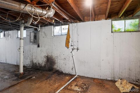 Tiny photo for 10236 Tanner Drive, St Louis, MO 63136 (MLS # 26027391)