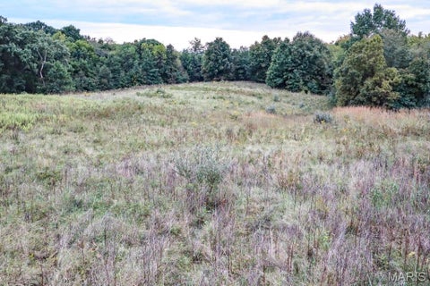 Tiny photo for 000-4 Sunny Side Lane, New London, MO 63459 (MLS # 26062712)