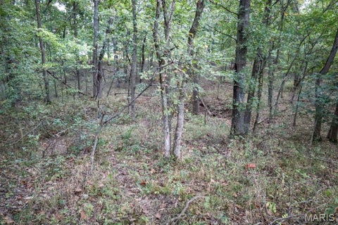 Tiny photo for 000-4 Sunny Side Lane, New London, MO 63459 (MLS # 26062712)