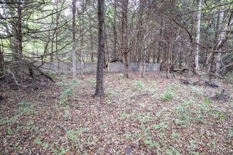 Tiny photo for 000-4 Sunny Side Lane, New London, MO 63459 (MLS # 26062712)