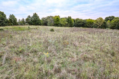 Tiny photo for 000-4 Sunny Side Lane, New London, MO 63459 (MLS # 26062712)