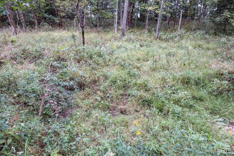 Tiny photo for 000-4 Sunny Side Lane, New London, MO 63459 (MLS # 26062712)