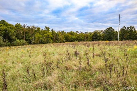 Tiny photo for 000-4 Sunny Side Lane, New London, MO 63459 (MLS # 26062712)