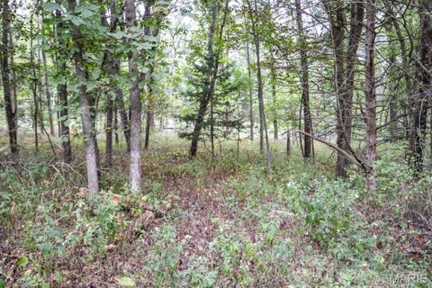 Tiny photo for 000-4 Sunny Side Lane, New London, MO 63459 (MLS # 26062712)