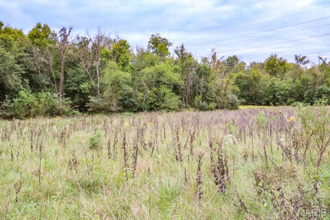 Tiny photo for 000-4 Sunny Side Lane, New London, MO 63459 (MLS # 26062712)