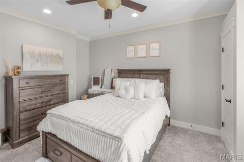 Tiny photo for 161 Darby Circle, Cape Girardeau, MO 63701 (MLS # 26029591)