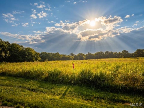 Tiny photo for 5 Wapiti Trail, New Haven, MO 63068 (MLS # 26045406)