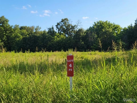 Tiny photo for 5 Wapiti Trail, New Haven, MO 63068 (MLS # 26045406)