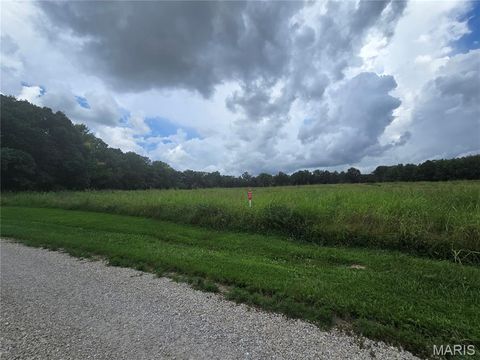 Tiny photo for 5 Wapiti Trail, New Haven, MO 63068 (MLS # 26045406)