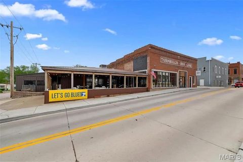 180 E Cherry Street Troy MO 63379