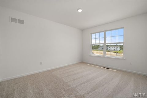 Tiny photo for 121 Cardinal Flower Drive, Wentzville, MO 63385 (MLS # 26024532)