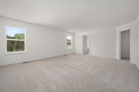 Tiny photo for 121 Cardinal Flower Drive, Wentzville, MO 63385 (MLS # 26024532)
