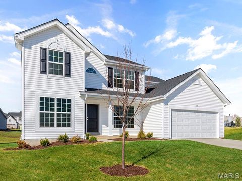 Photo of 121 Cardinal Flower Drive, Wentzville, MO 63385 (MLS # 26024532)