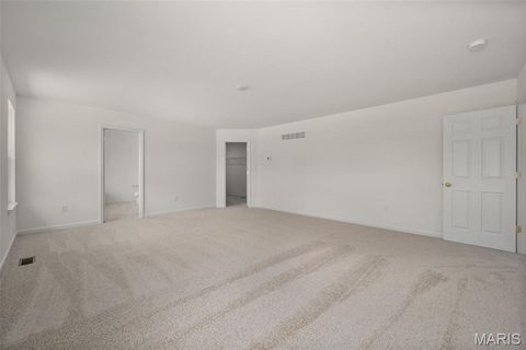Tiny photo for 121 Cardinal Flower Drive, Wentzville, MO 63385 (MLS # 26024532)