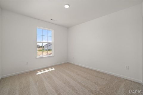 Tiny photo for 121 Cardinal Flower Drive, Wentzville, MO 63385 (MLS # 26024532)