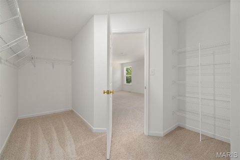 Tiny photo for 121 Cardinal Flower Drive, Wentzville, MO 63385 (MLS # 26024532)