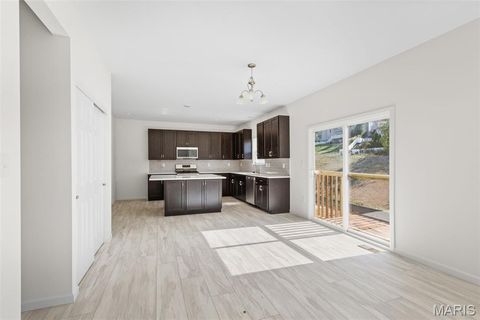 Tiny photo for 121 Cardinal Flower Drive, Wentzville, MO 63385 (MLS # 26024532)