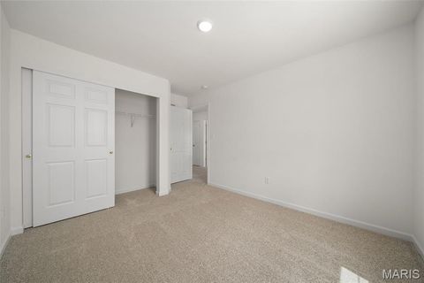 Tiny photo for 121 Cardinal Flower Drive, Wentzville, MO 63385 (MLS # 26024532)