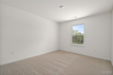 Tiny photo for 121 Cardinal Flower Drive, Wentzville, MO 63385 (MLS # 26024532)